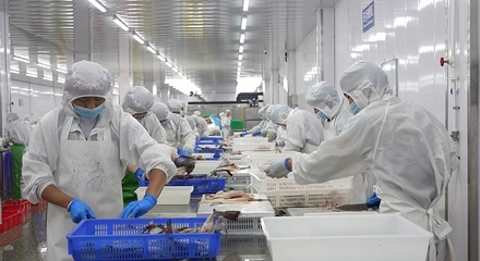 曹縣 開足馬力忙生產，食品產業煥發新活力